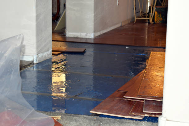 Professional Water Damage Restoration technician working in Mountain Home AFB, ID